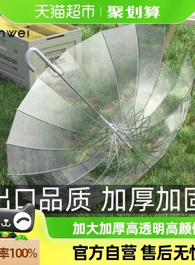 天玮16骨透明雨伞长柄伞大号双人女白色网红高颜值氛围感雨伞加大