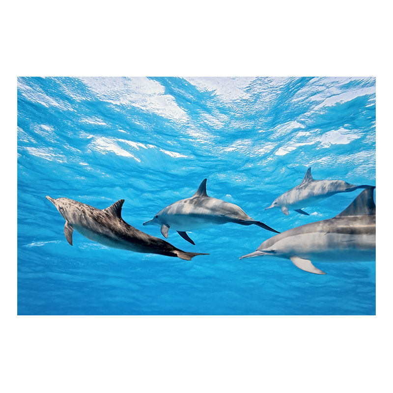 海底玻璃吊顶走廊过道海洋天花板造型亚克力透光板星空顶装饰定制