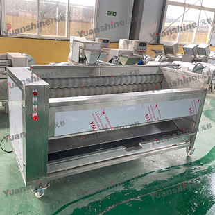 爆款热销土豆去皮机 小型莲藕莴笋磨皮机 硬毛刷毛刷去皮清洗机