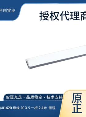维纳尔01620 母线 20 X 5 一根 2.4米  镀锡