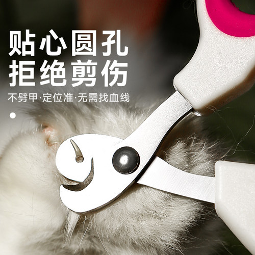 猫指甲剪专用小盲剪新手宠物指甲钳防出血猫咪指甲刀幼猫兔子剪圆