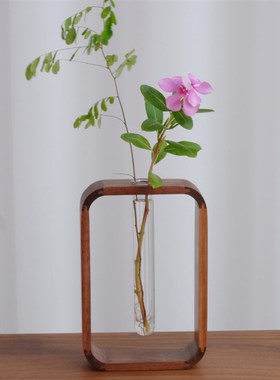 北美黑胡桃实木试管花瓶客厅透明玻璃桌面摆件富贵竹绿萝水培花器