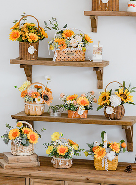 客厅摆件花家居饰品户外露营野餐花篮装饰电视柜酒柜书架开业礼物