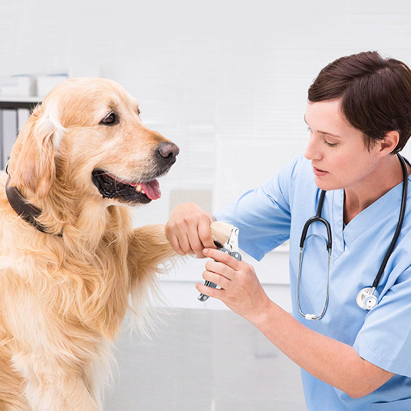 宠物狗狗指甲钳猫咪指甲剪刀大型犬专用磨甲神器兔子全金属指甲剪
