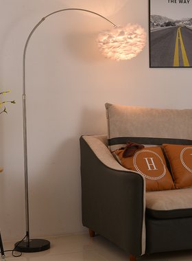 羽毛灯落地灯卧室客厅沙发床头少女公主网红直播温馨钓鱼立式台灯