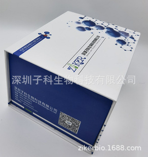 血栓素B2(TXB2) ELISA Kit(人、大鼠、小鼠等)