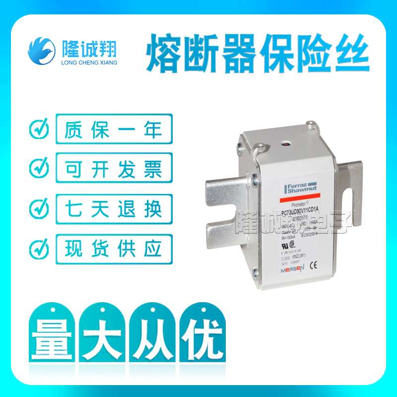 熔断器保险丝 PC70GB69V100ESF S301293 PC70GB69V125ESF F301305