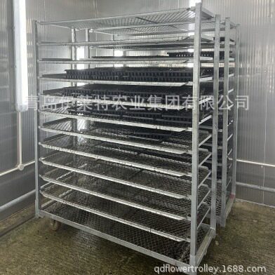 厂家直销镀锌荷兰花车，育苗车可移动，催芽车运输台车，花卉育苗