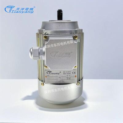 TIANYANG天洋电机YS56120.09KW立式转数2800RPM3~AS.MOTOR马达