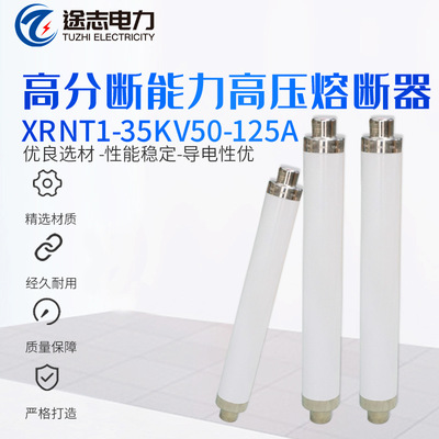 XRNT1-35KV50-125A高压限流熔断器 高压熔断器高分断能力熔断器