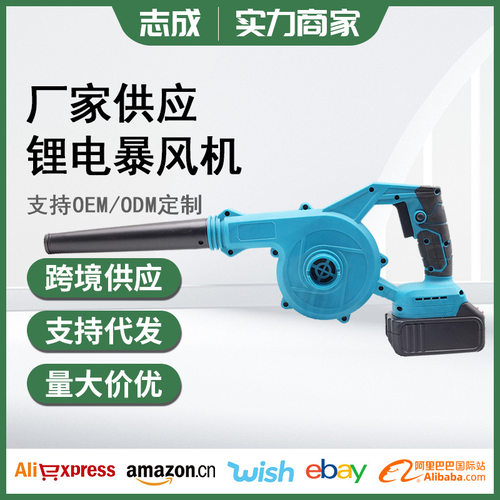户外手持式锂电吹风机清扫落叶车载除尘器可便携电动工具暴风机