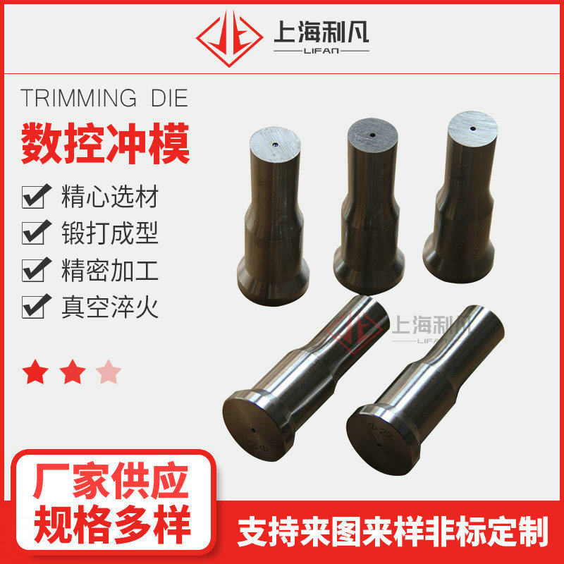 厂家订置模具冲头铁塔冲剪机配件圆孔腰孔冲模成型数控孔冲床