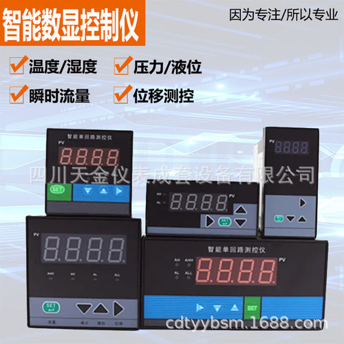 C403单回路数显温控仪三位检测