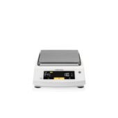 BSA5202 赛多利斯BSA BSA2201 BSA8201 1CCN 十分之一触摸天平