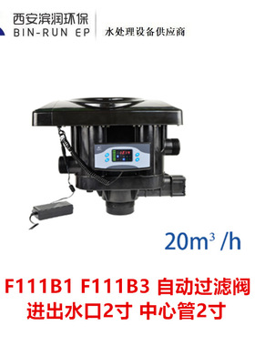 53520 F111B1 F111B3 润新20吨自动过滤阀 进出水口2寸 中心管2寸