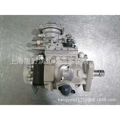 喷油泵0460414160和0460414217和196000-419122100-5D230