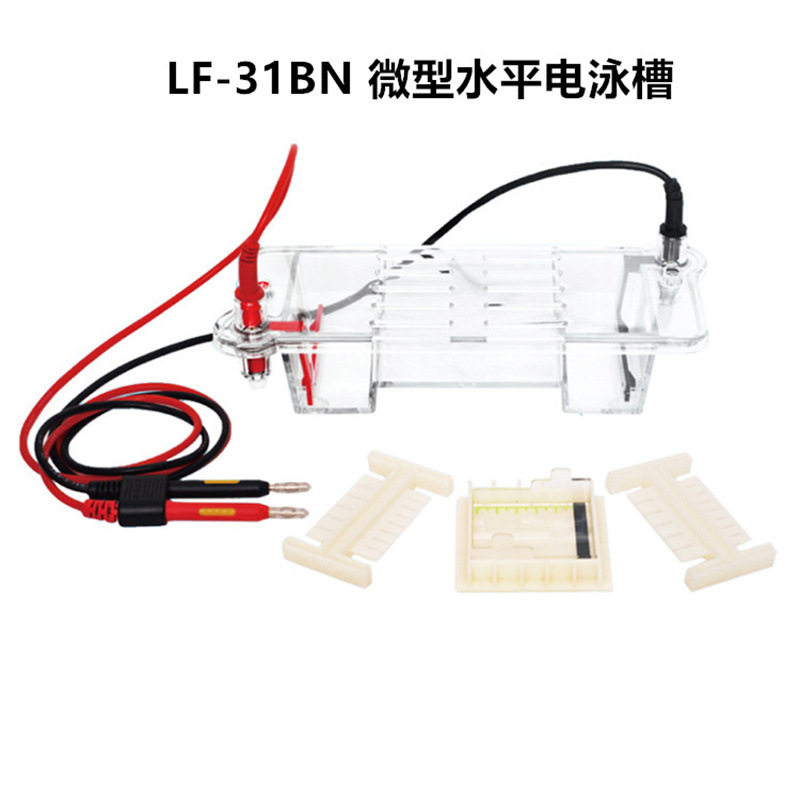 LF-31CN 小型水平电泳槽  LF-31BN 微型水平电泳槽 DNA\RNA电泳槽