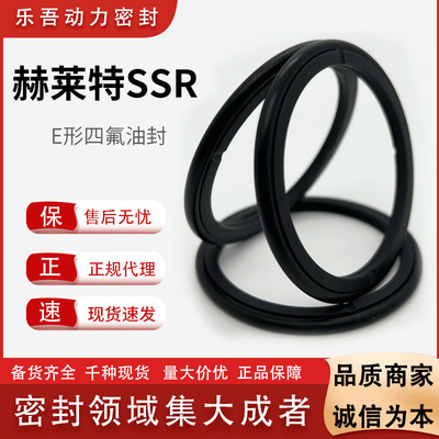 Hallite进口密封件英国赫莱特SSR轴用E形四氟油封耐磨 抗挤出