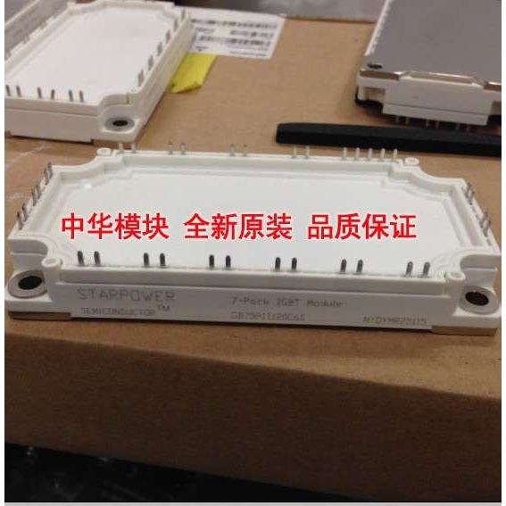 GD50PIL120C6S GD75PIL120C6S GD75PIL120C6S_G8新IGBT斯达模块
