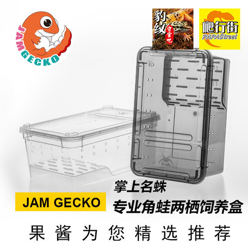 角蛙专用饲养盒两栖饲养箱守宫睫角蜘蛛昆虫龟玩家蛇防逃逸饲养盒