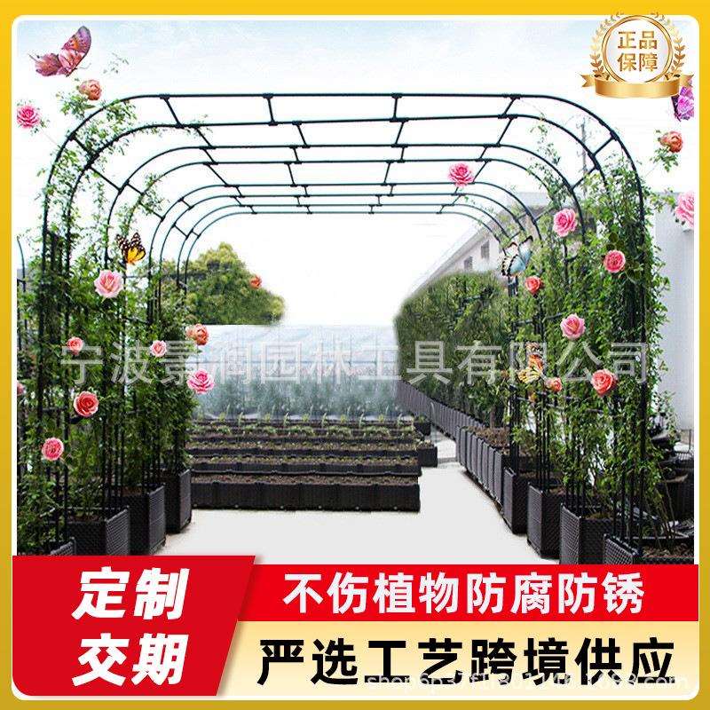 花架爬藤本架鲜花欧式铁线莲攀藤攀爬藤支柱月季拱门架子蔷薇花架