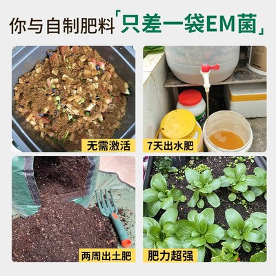 em堆肥发酵菌厨余发酵菌剂em菌水肥有机肥发酵剂粉沤肥桶腐熟肥料