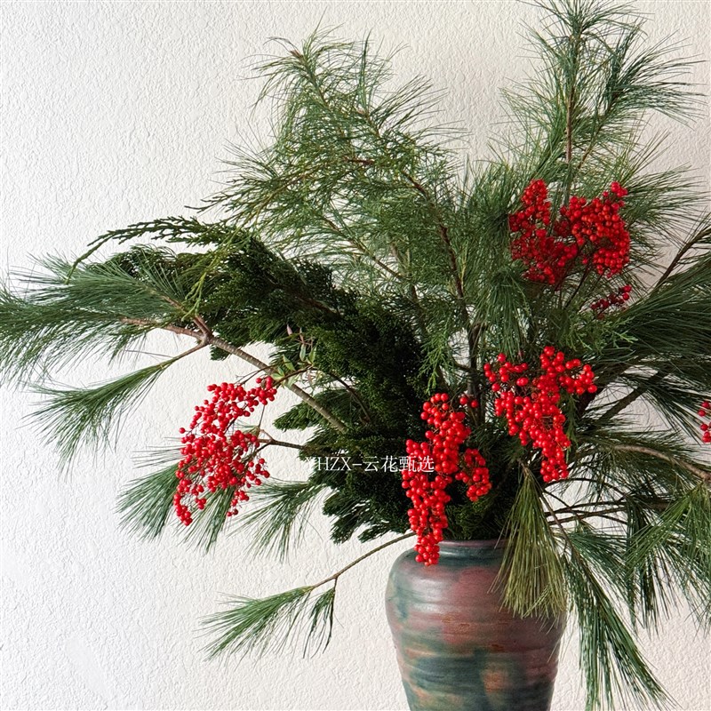 【云花甄选】五针松圣诞组合鲜花年宵花插花水养云南直发山野绿植