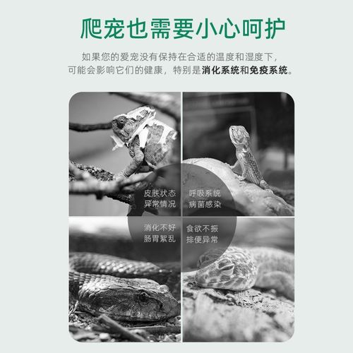 WACOOL玩酷爬虫温湿度计蜥蜴守宫蛇陆龟饲养箱吸盘电子湿度计