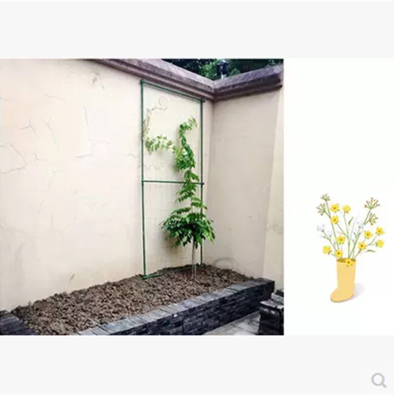 铁线莲蔷薇月季植物爬藤架攀爬爬墙花卉支架蔬菜结果塑料支柱花架