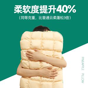 珍喜学生少年酥心菠萝包枕芯单个一对装超柔助眠不塌陷不变形枕头
