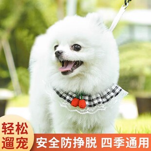背心式狗狗牵引绳幼犬博美比熊柴犬胸背带遛猫绳狗链子猫咪防挣脱