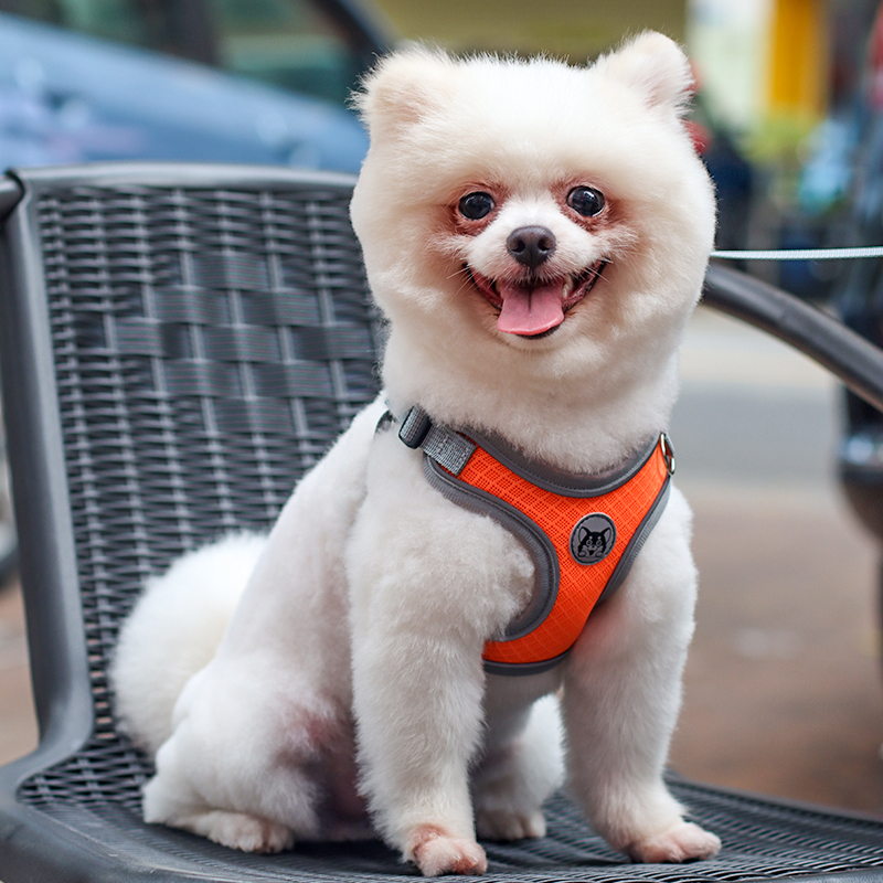 狗狗牵引绳中小型犬背心式胸背带泰迪比熊博美柯基法斗遛狗绳链子