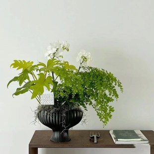 2024新品陶瓷花盆创意条纹花瓶插花简约大口径蝴蝶兰蕙兰绿植高脚