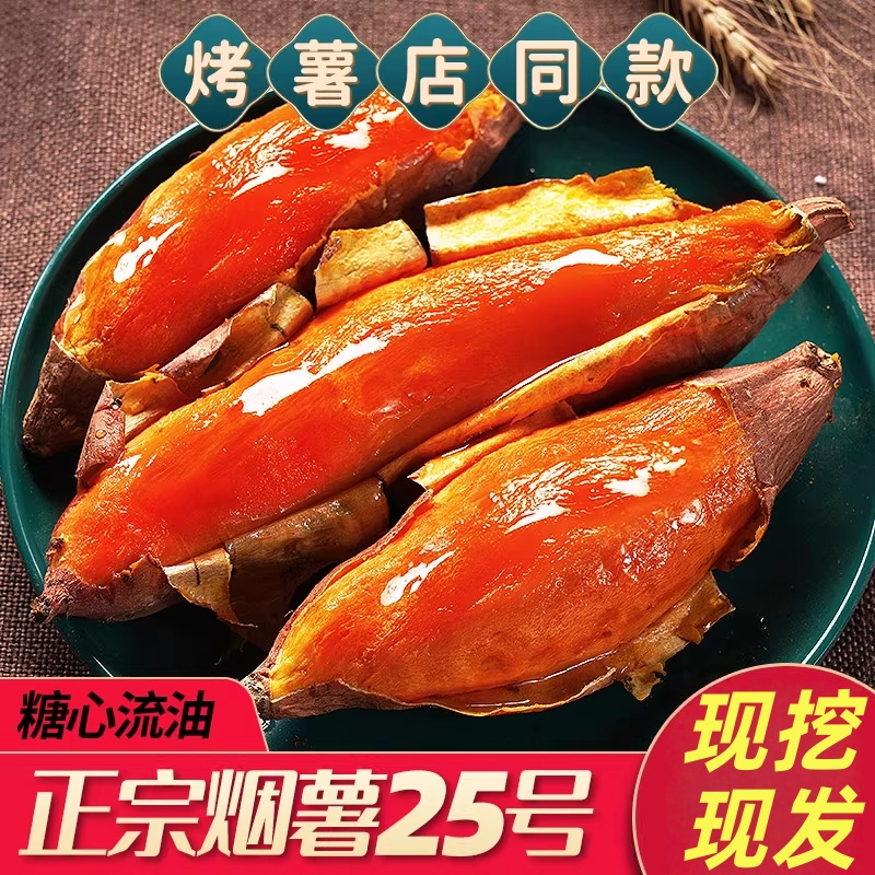 【新鲜现挖】正宗山东烟薯25号