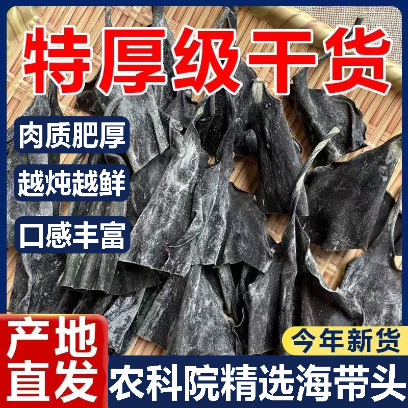 【农科院精选】霞浦干海带头