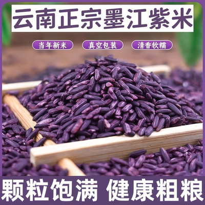 【健康粗粮】云南特产墨江紫糯米
