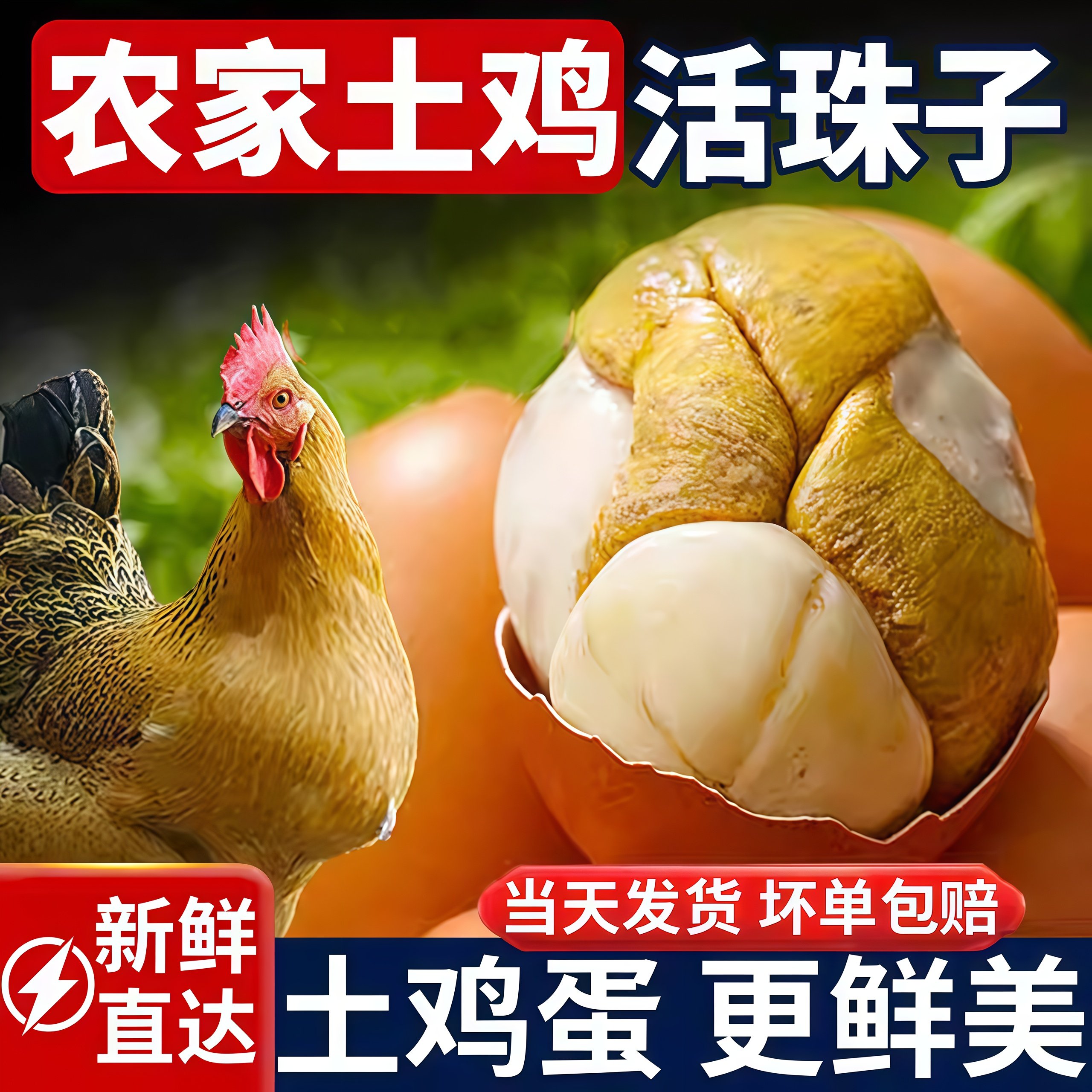 【土鸡蛋更鲜美】新鲜活珠子