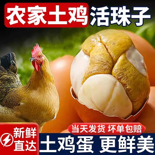 【土鸡蛋更鲜美】新鲜活珠子