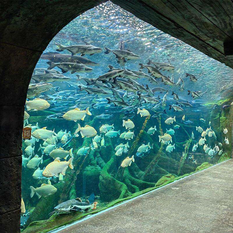 2020型造景大海洋水馆专用大型亚克力鱼缸海赏造景水族箱施工方案