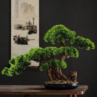 968客松盆景绿植造柏酒店装饰树新景中迎式玄关崖罗汉松摆件