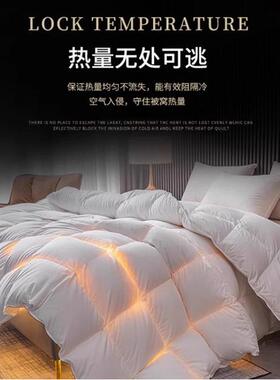 星级酒店95%秋YRB-001白鹅绒春被民全棉白色羽绒被加厚白宿鸭绒冬