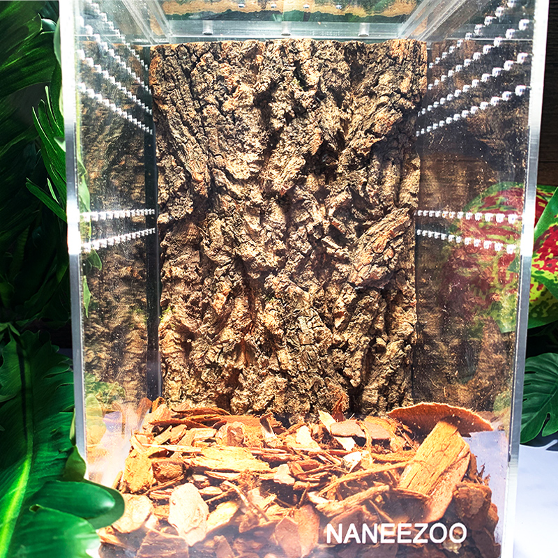 一体亚克力饲养盒高盒树蛙睫角R属守宫树栖爬宠昆虫饲养盒高透
