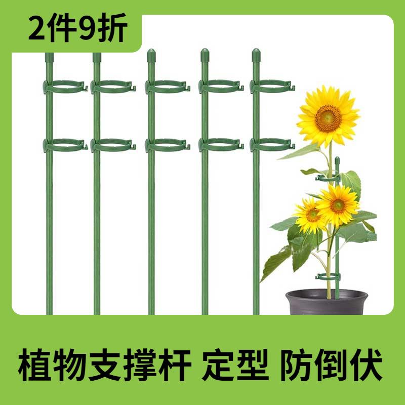 园艺花架支撑杆花卉植物盆栽防倒固定器蝴蝶兰花支架卡扣式支撑架图片
