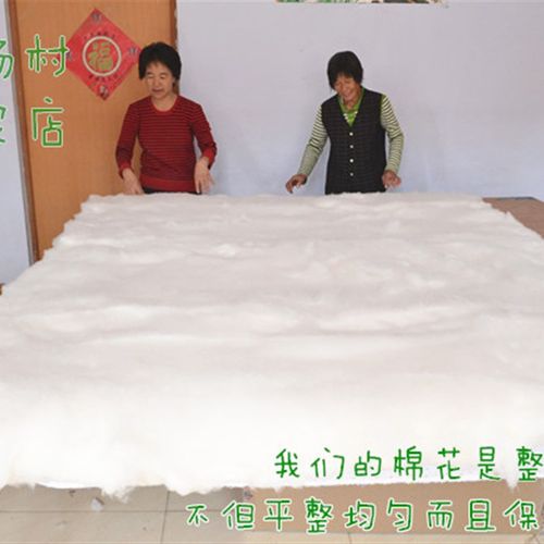 手工10斤棉被天然新棉花纯棉被子双单人学生冬被春秋被芯褥子床垫