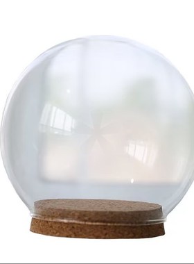 干花保存瓶软木塞收藏盒鲜景观展示摆件小王子玫瑰花束diy玻璃罩