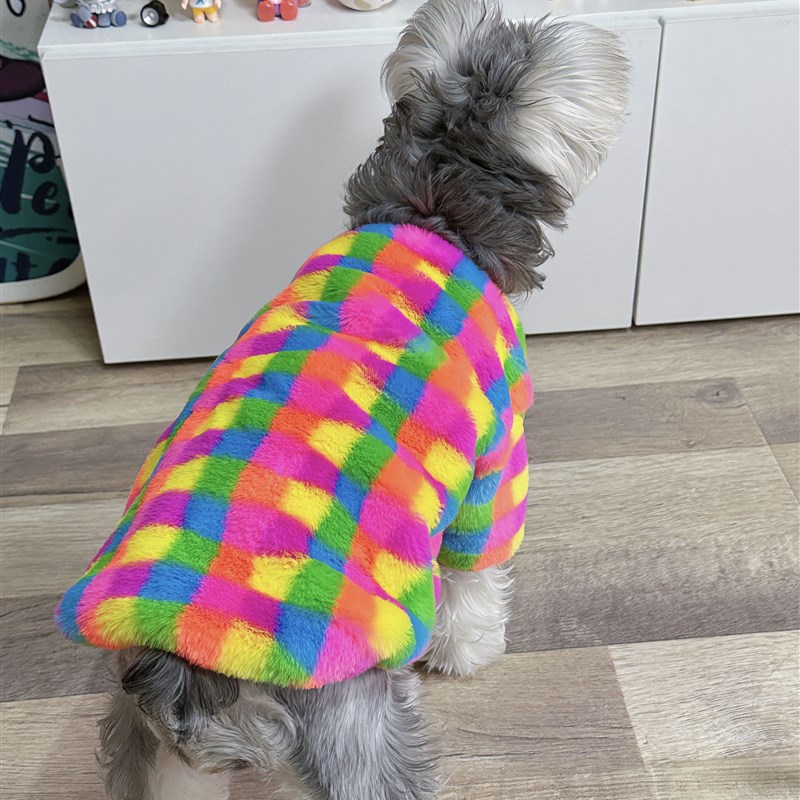 宠物猫咪狗狗秋冬衣服彩虹格子保暖室内防掉毛圆领卫衣中小大型犬