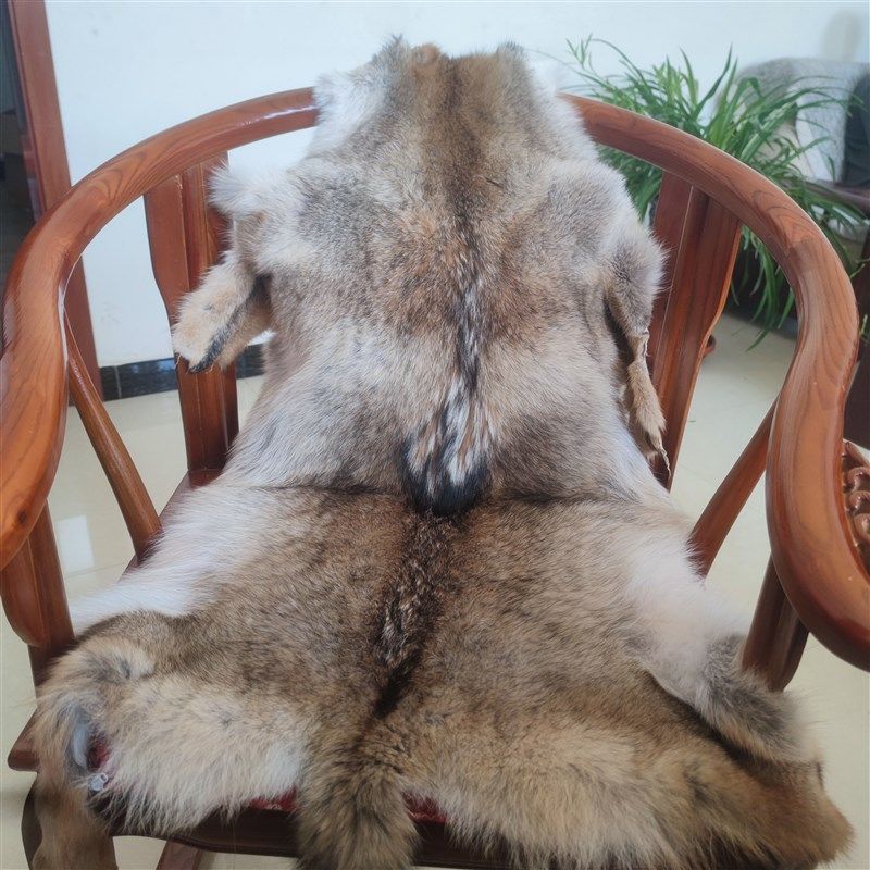 Coyotes北美郊狼皮沙发垫皮草坐垫狼毛汽车靠背一体椅子套罩加厚