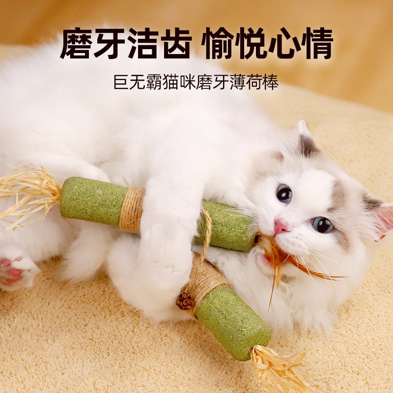 热销柒哦猫薄荷磨牙棒超大猫咪玩具球逗猫自嗨解闷神器耐咬消耗体