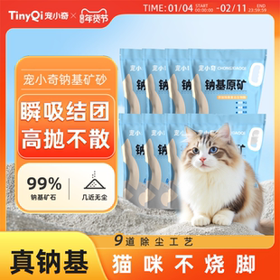 【囤货装】宠小奇钠基矿砂猫砂无尘不粘底除臭矿石猫沙4.5Kg