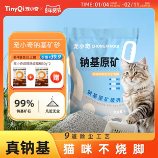宠小奇钠基矿砂猫砂无尘不粘底除臭强吸水结团混合膨润土矿石猫沙